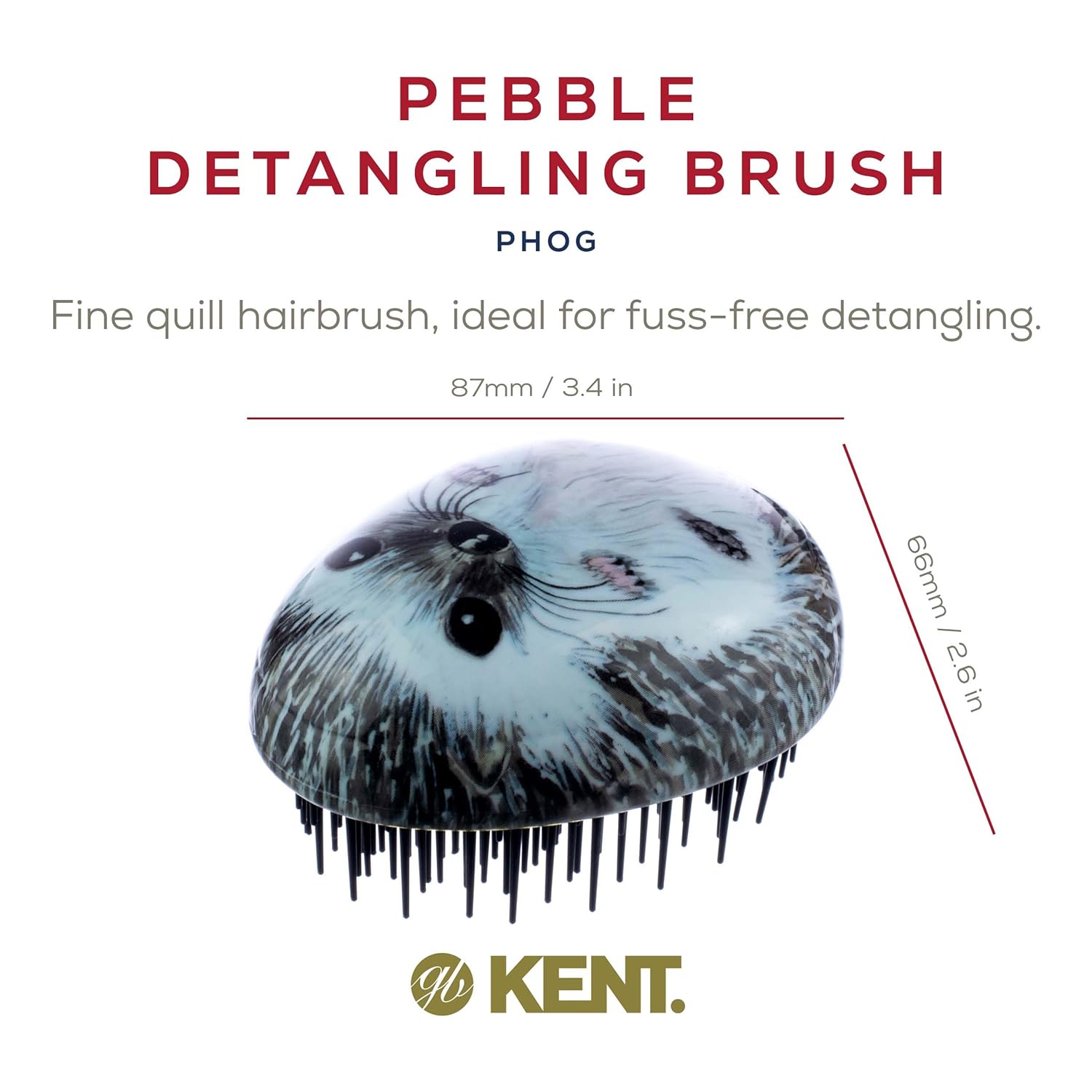 Pebble Shampoo and Scalp Massaging Detangling Hair Brush