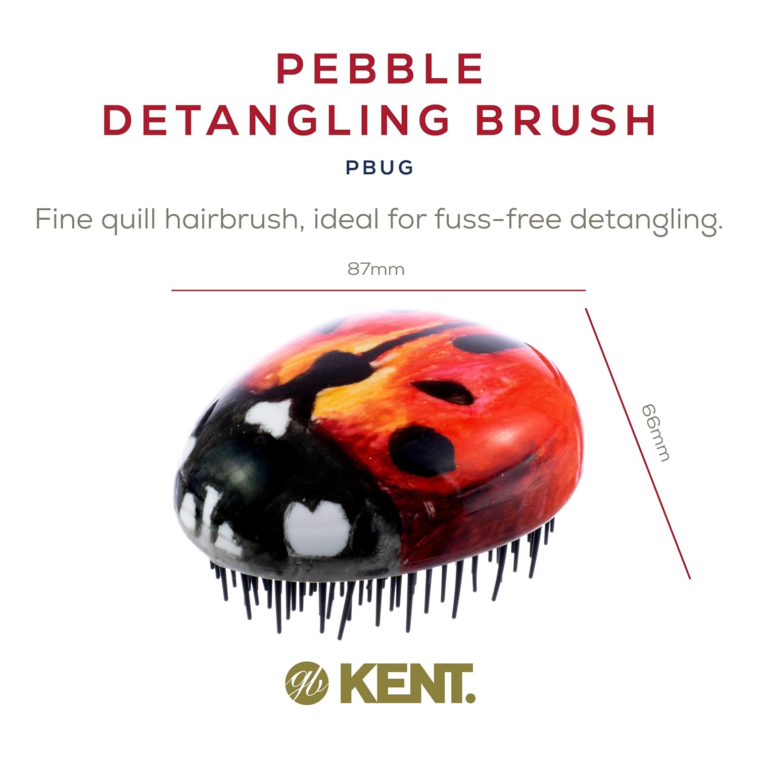 Pebble Shampoo and Scalp Massaging Detangling Hair Brush