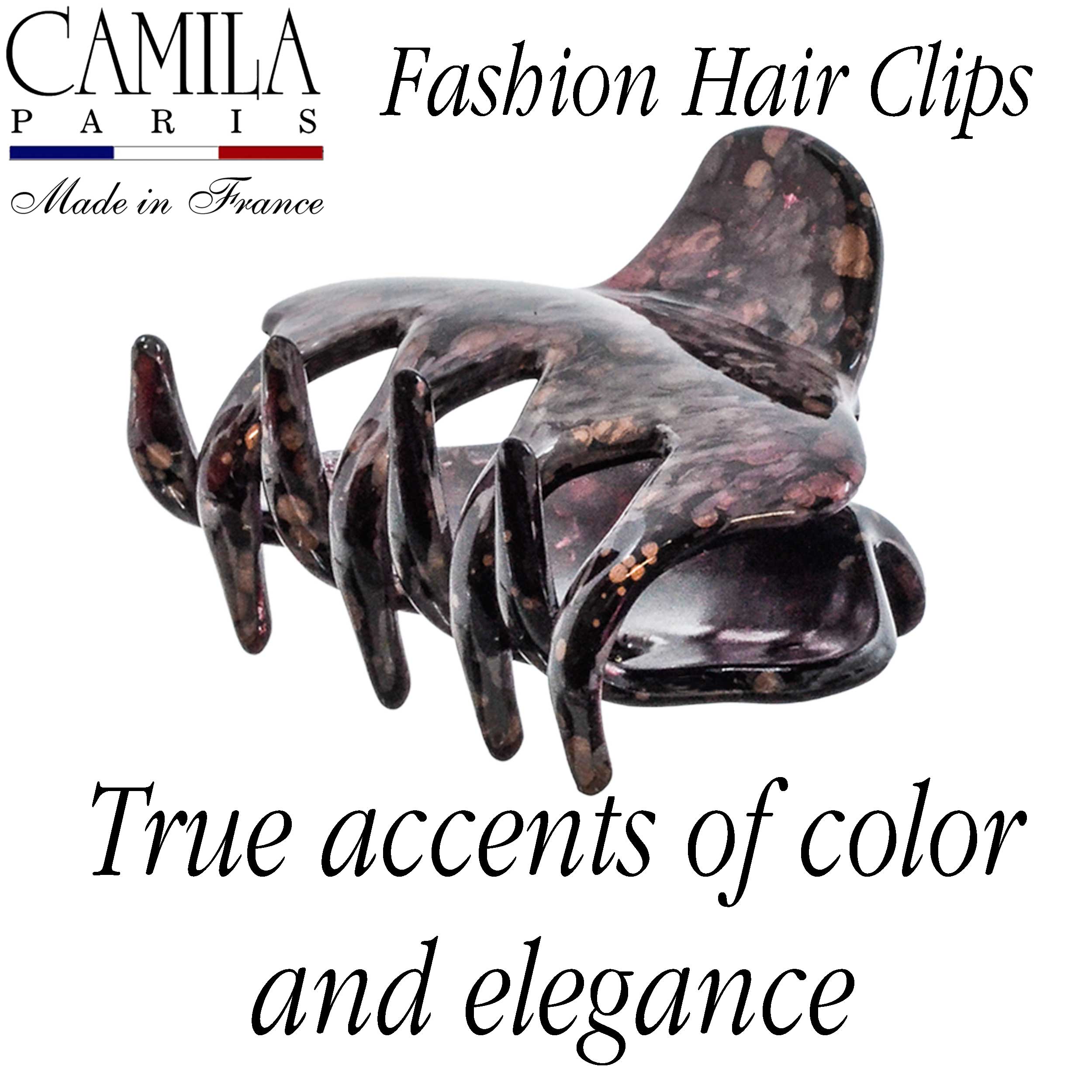 Hand Painted Hair Clip - Pétale