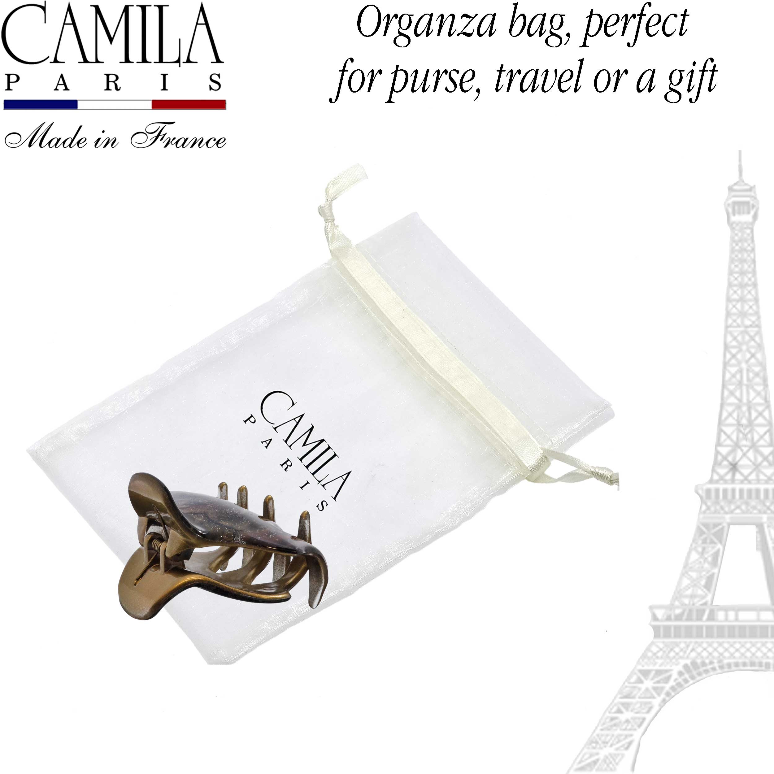 Hand Painted Hair Clip - Pétale