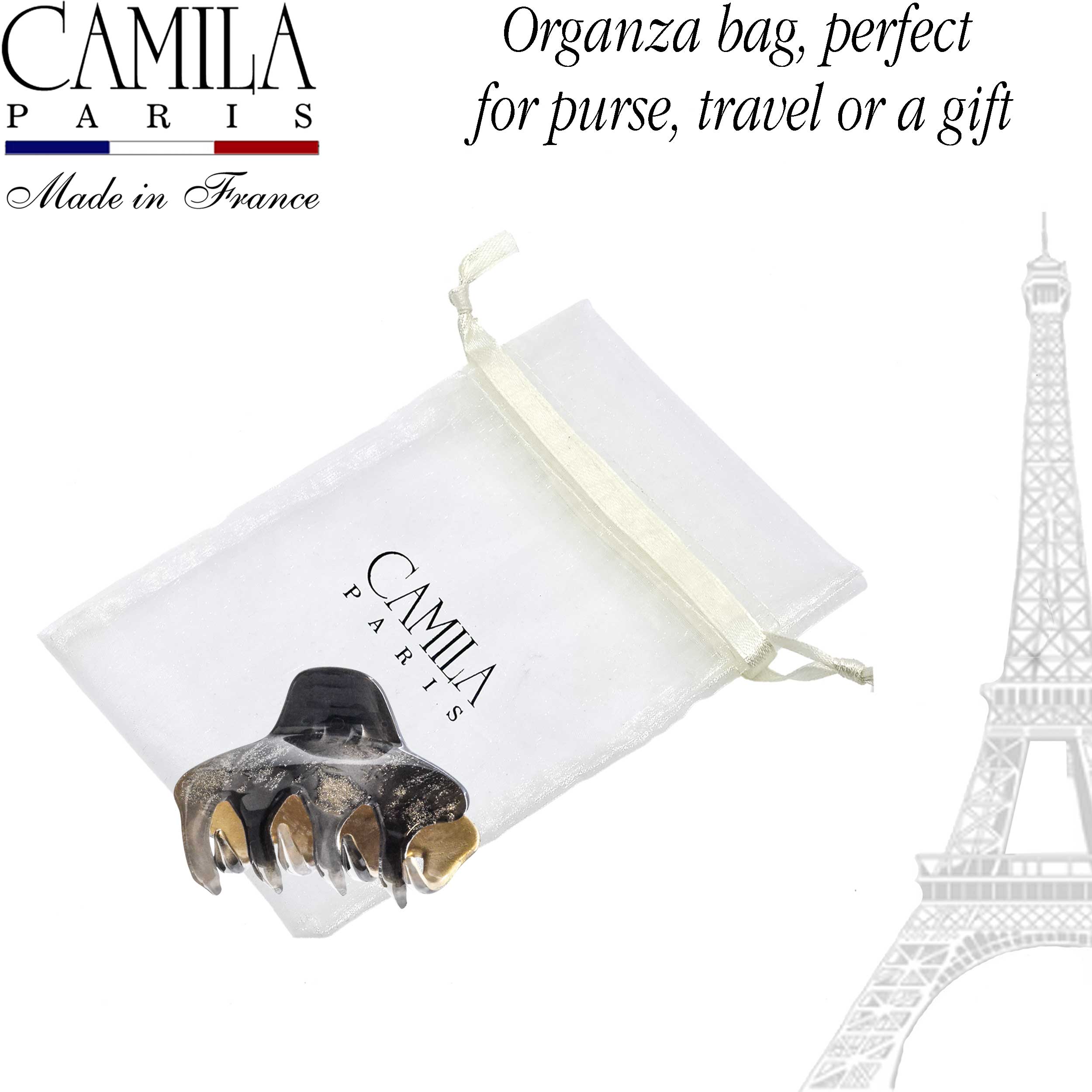Hand Painted Hair Clip - Pétale