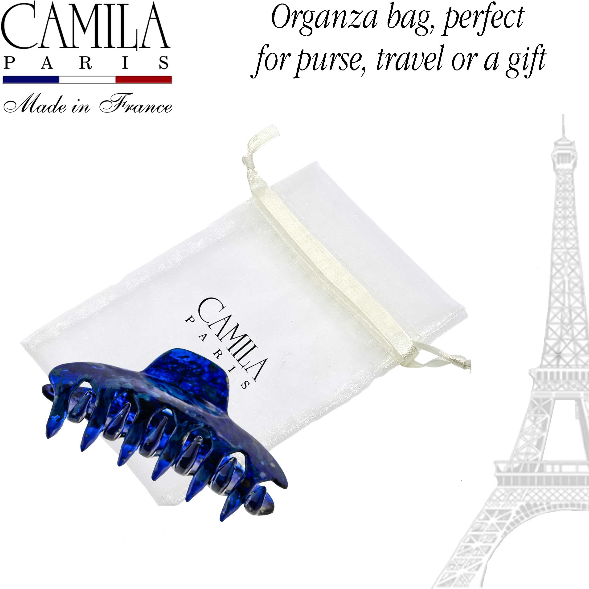 Hand Painted Hair Clip - Pétale