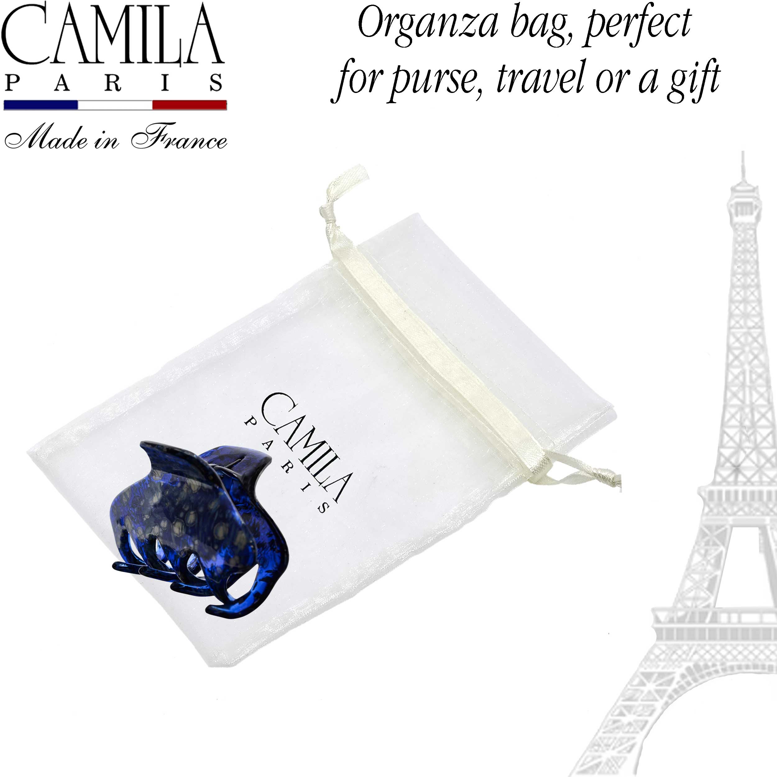 Hand Painted Hair Clip - Pétale
