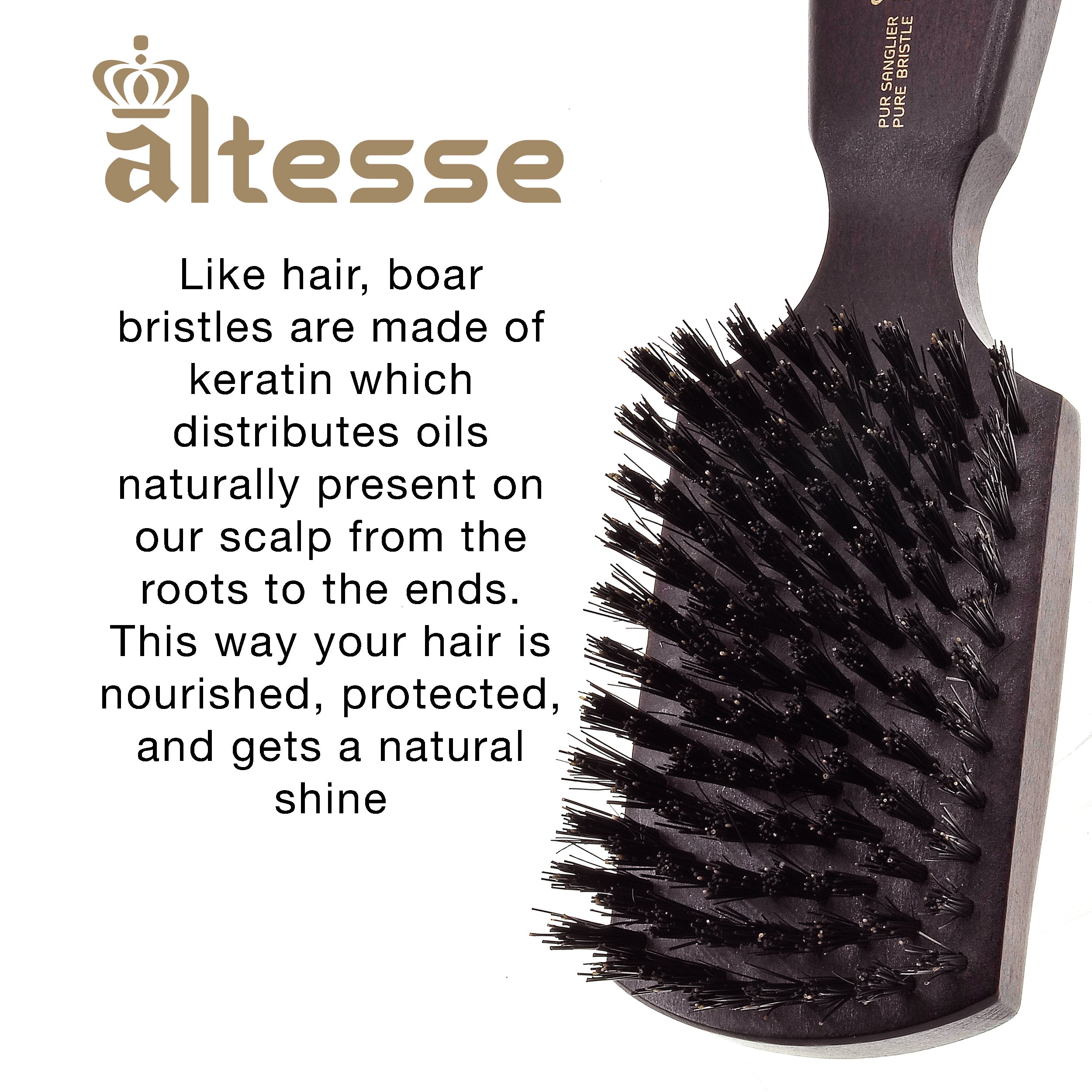 Altesse Boar Bristle Hair, Beard, and Mustache Club Brush