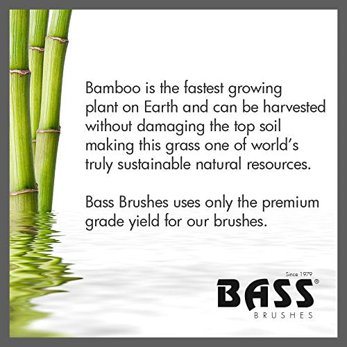 BASS BS08 Radial Hair Brush Curling Styling Boar & Nylon Bristles