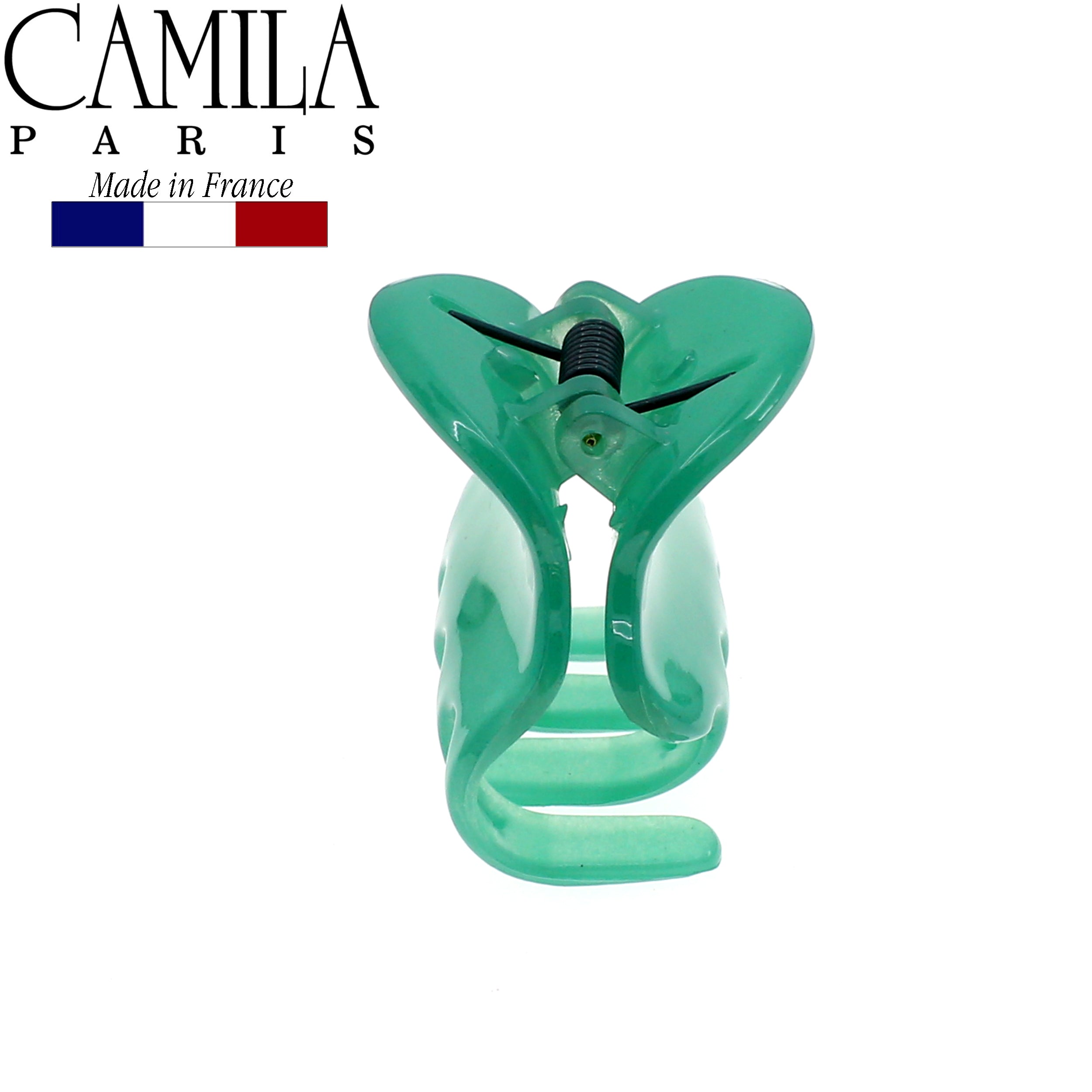 Camila Paris Cutout Teeth Hair Clip Pair