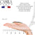 Camila Paris CP2863-2 Small Tortoise French Hair Clip Claw Hair Slide