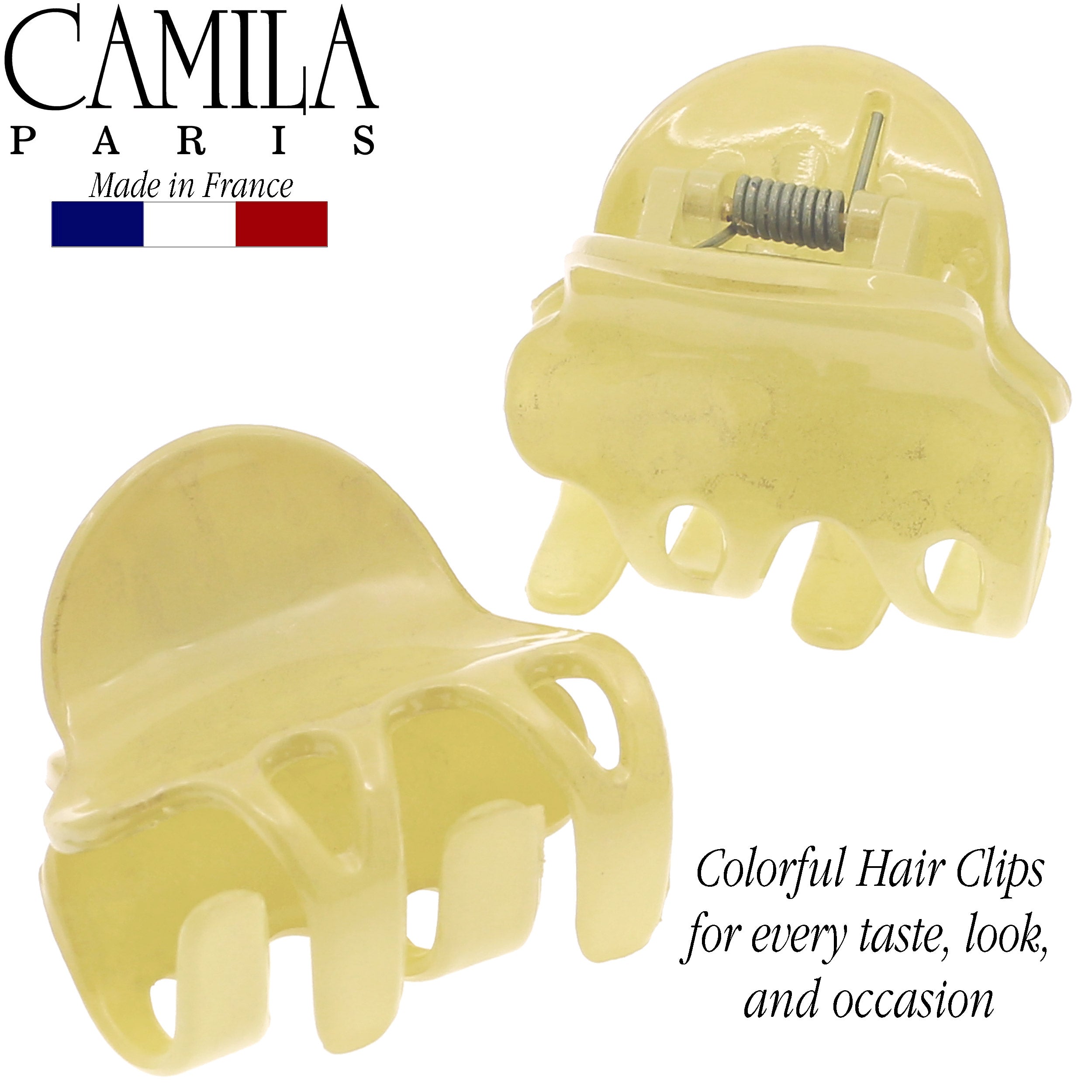 Camila Paris Cutout Teeth Hair Clip Pair