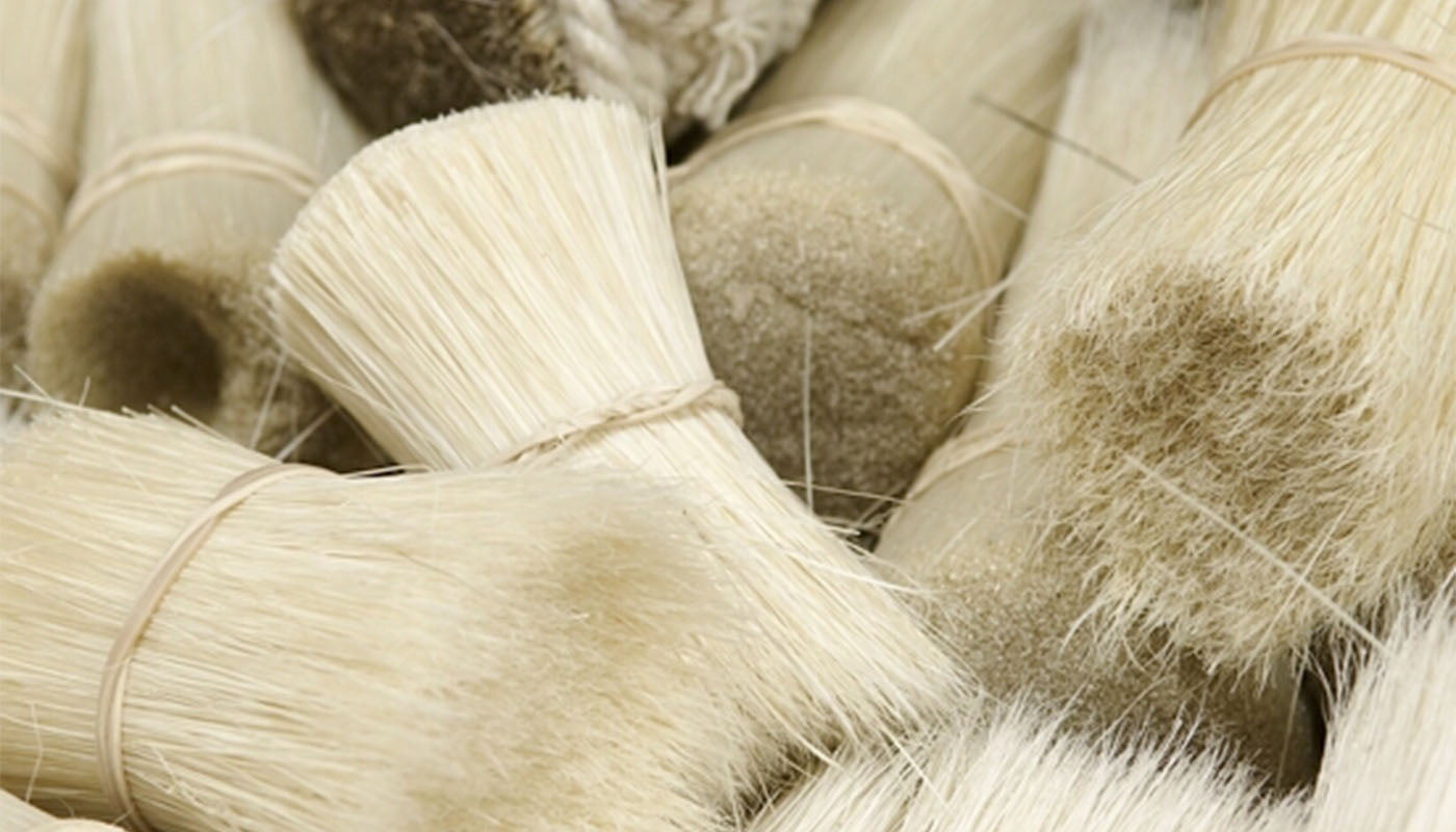 The Complete Boar Bristle Hair Brush Buyer's Guide