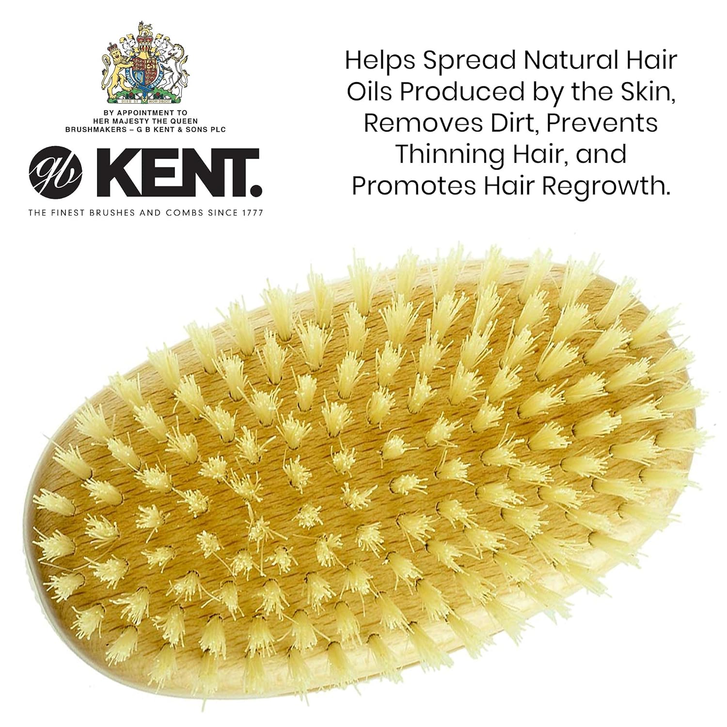 Kent MS11 Military Oval Brush