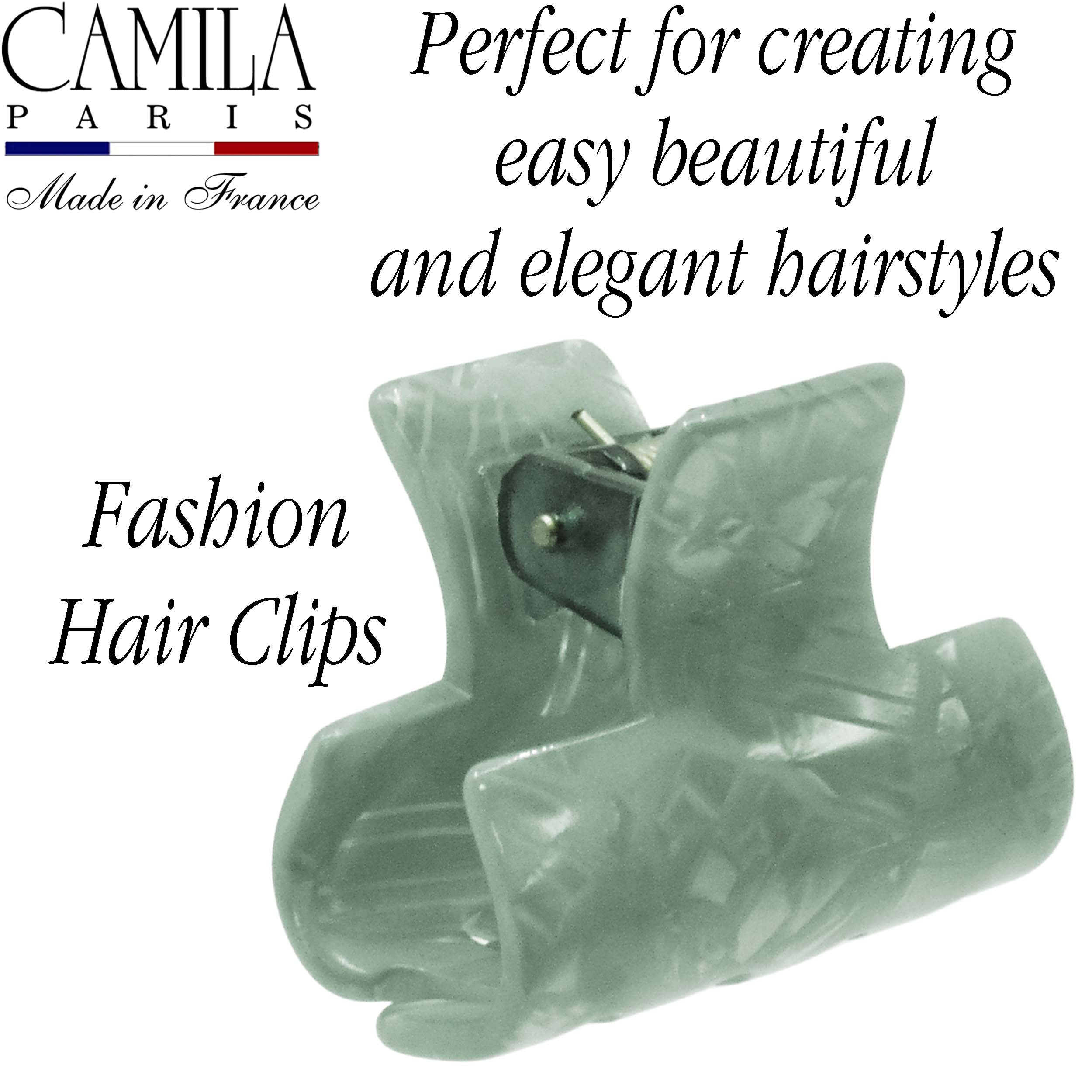 Handmade Spring Cover Hair Clip - Moineau