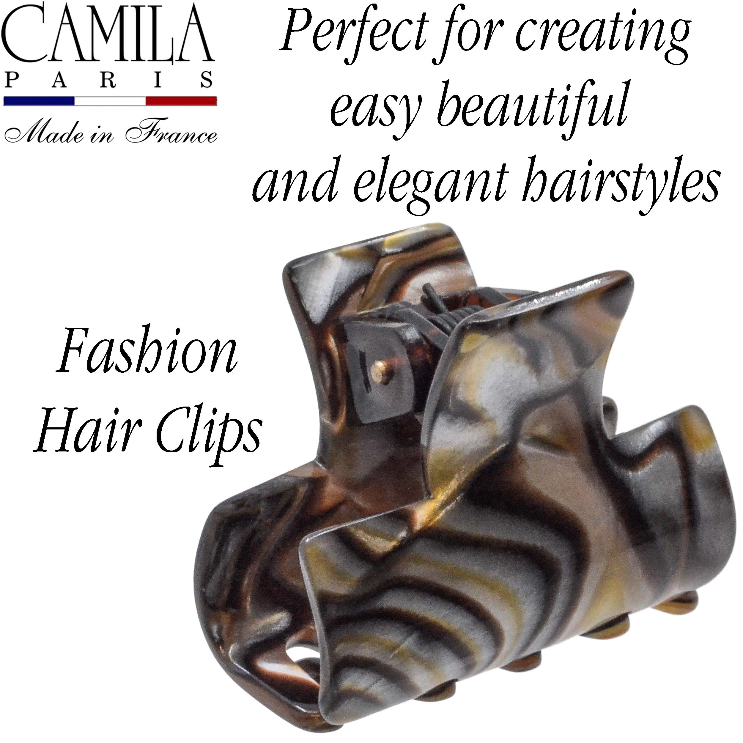 Handmade Spring Cover Hair Clip - Moineau