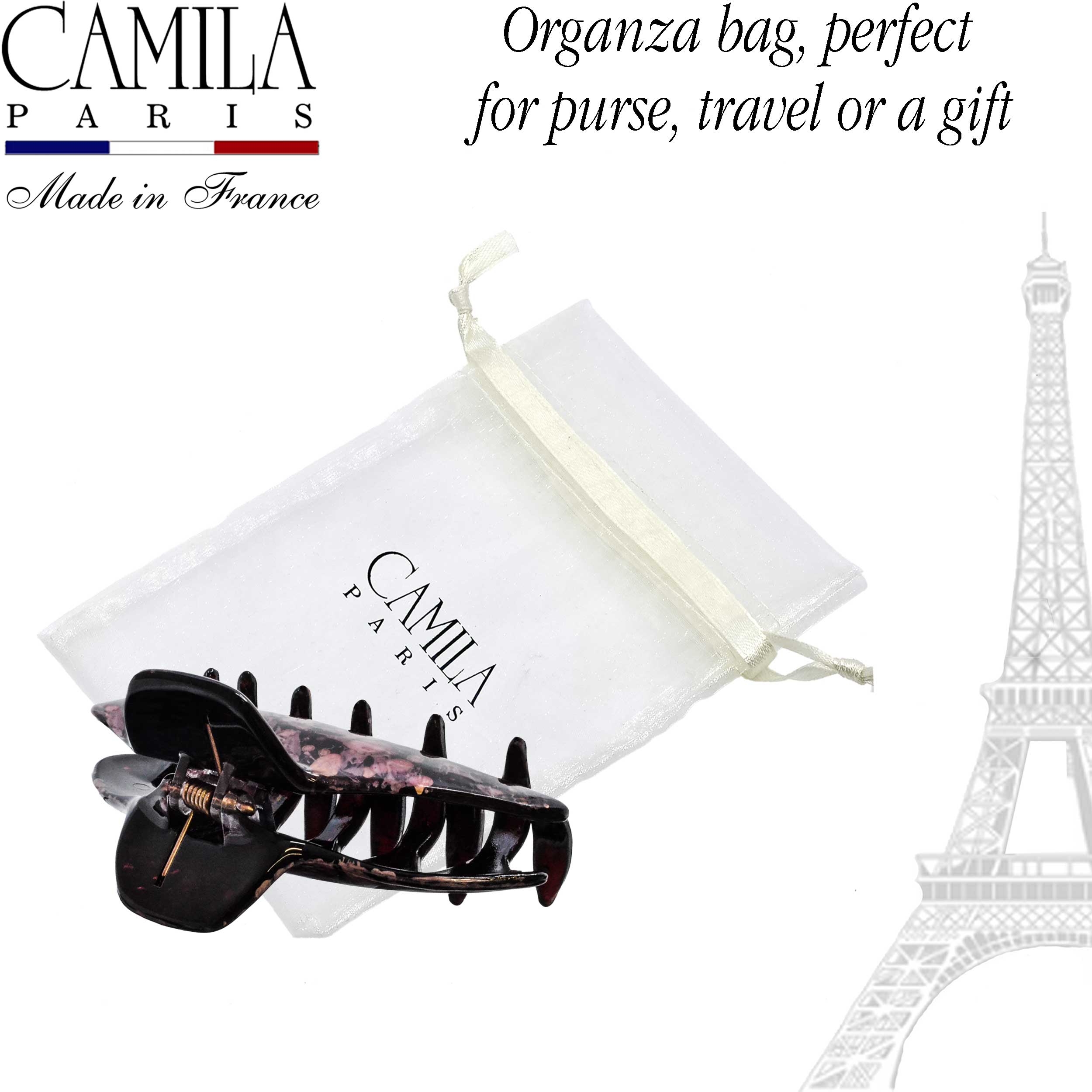 Hand Painted Hair Clip - Pétale