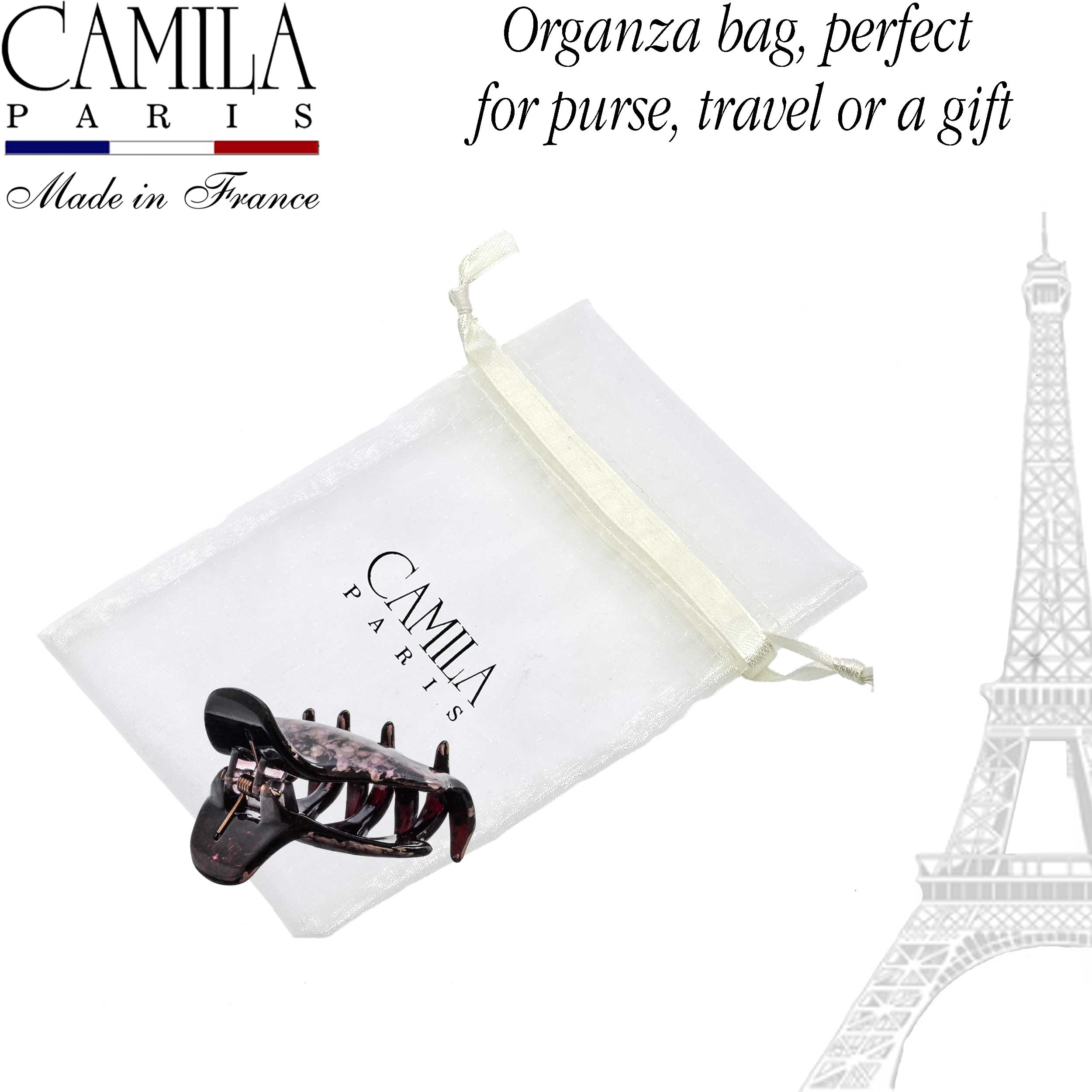 Hand Painted Hair Clip - Pétale