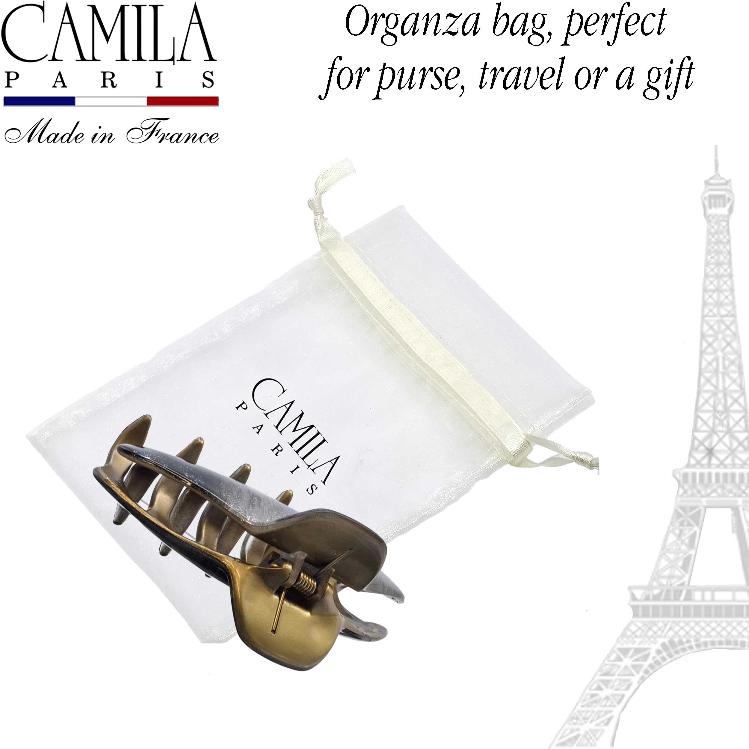 Hand Painted Hair Clip - Pétale