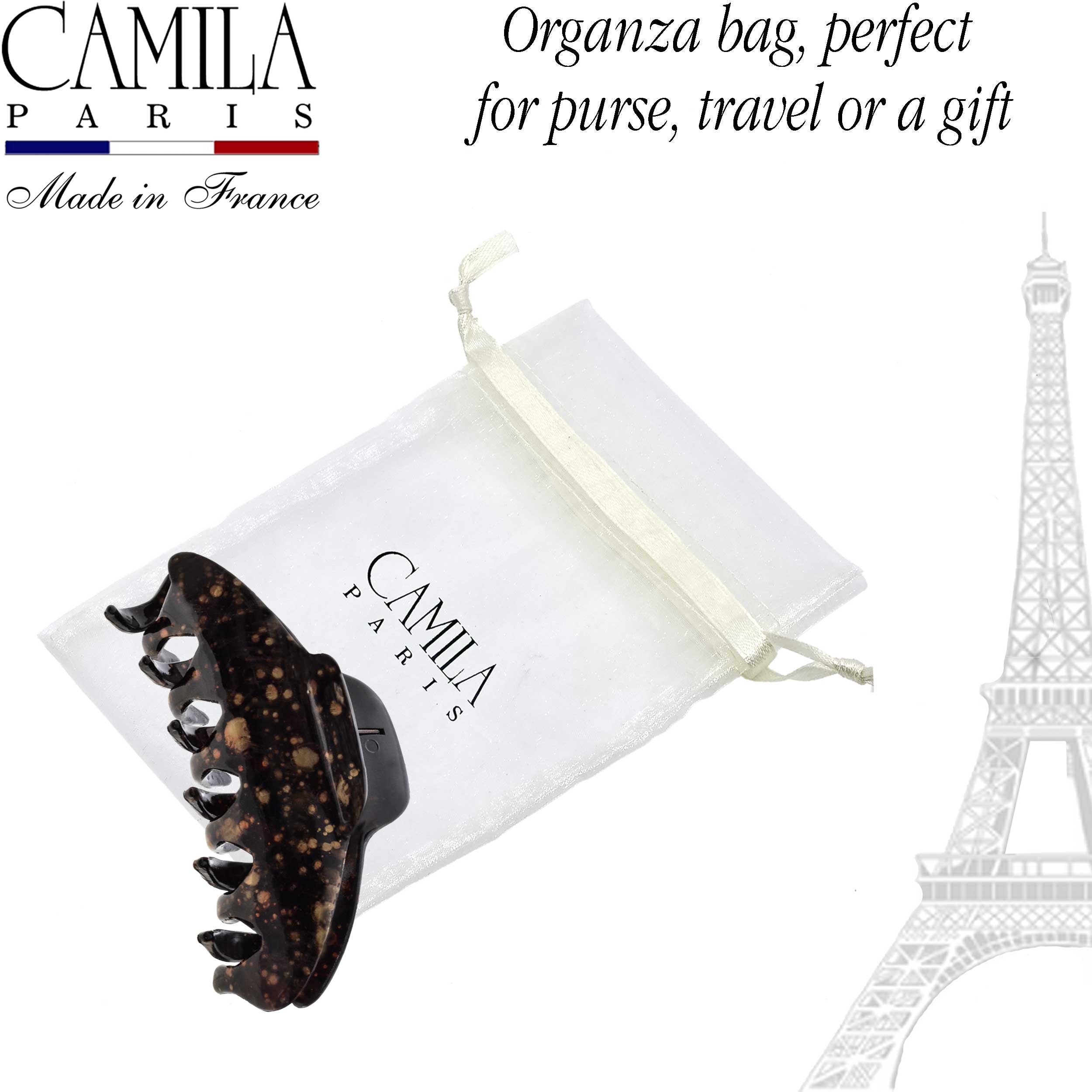 Hand Painted Hair Clip - Pétale