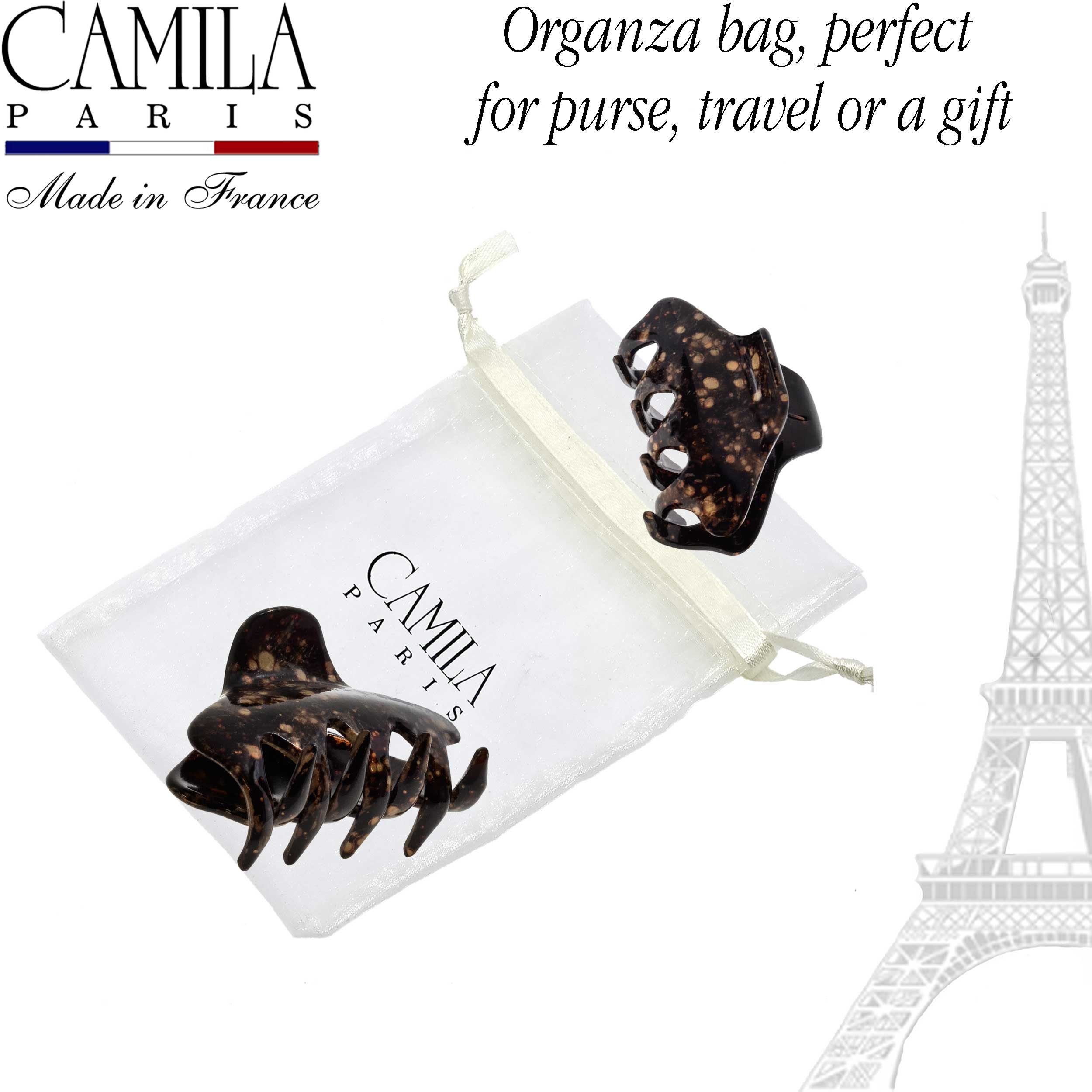 Hand Painted Hair Clip - Pétale