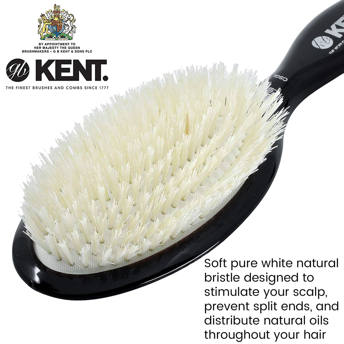 Buy Different Types Of Hair Brushes