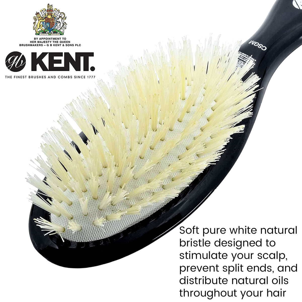 Cotswold Bassine Hand Brush CR/P.35