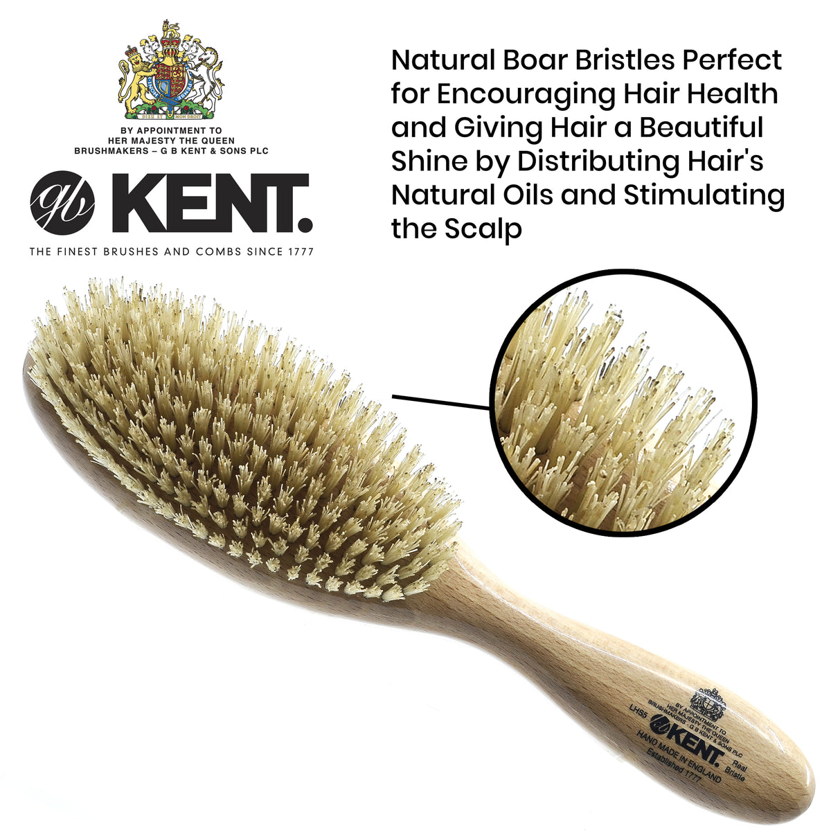 Oval Bristle Brush with Natural Boar Bristles