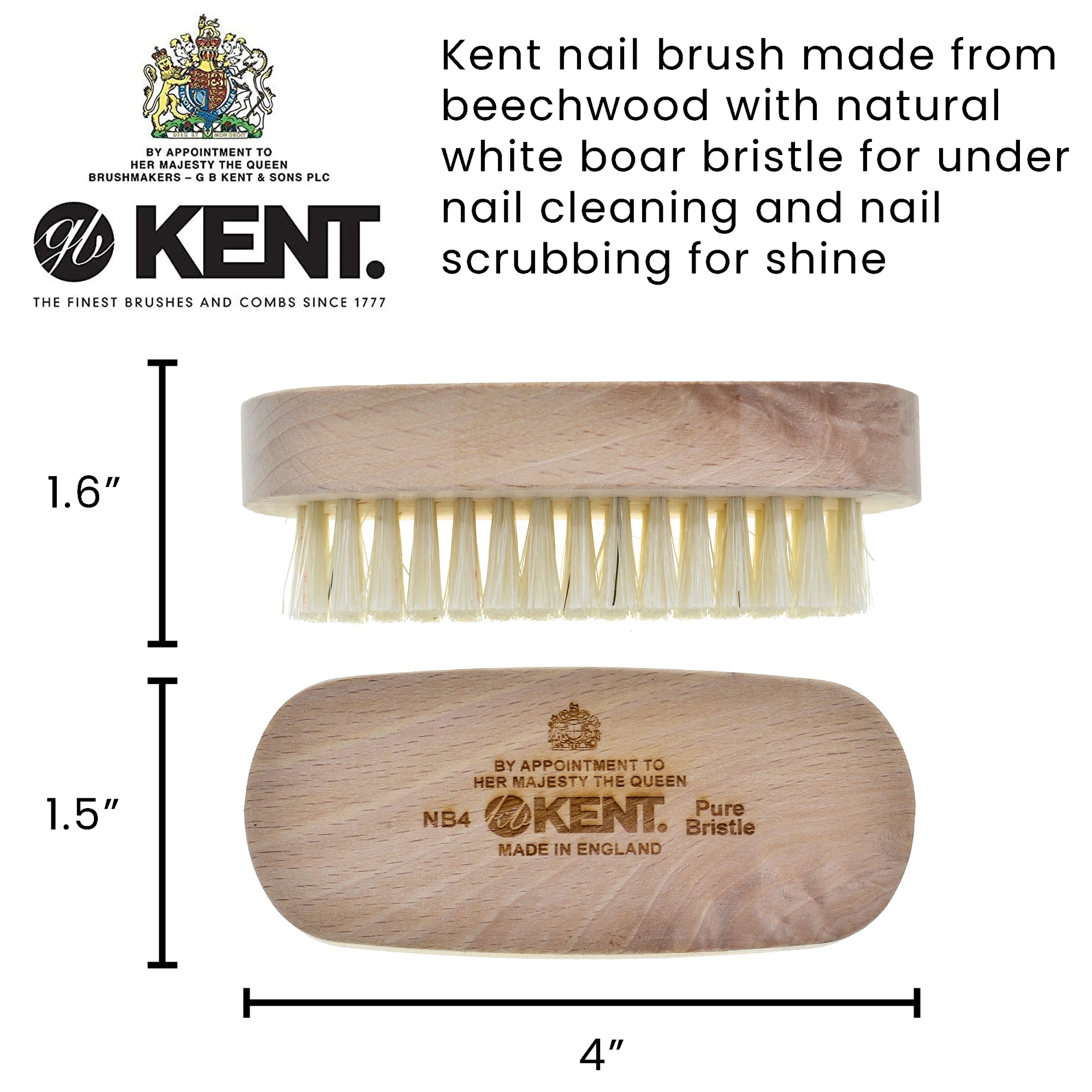Natural Bristle Beechwood Nail Brush